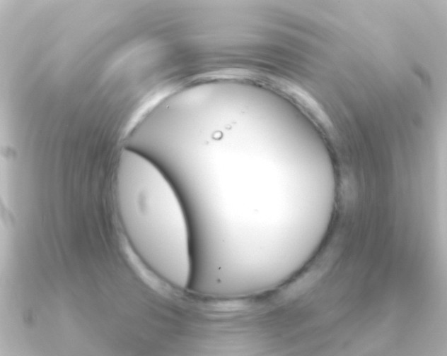 X0000091351425200708101029