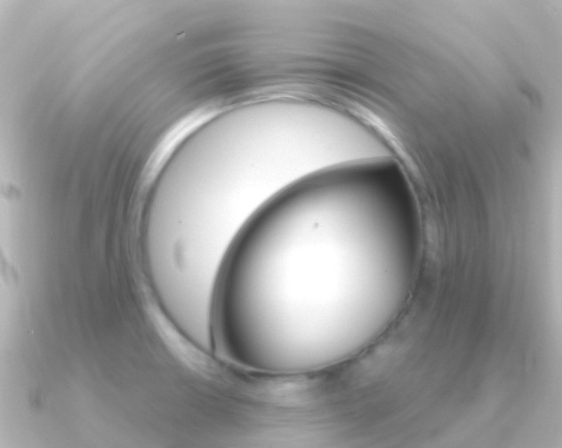 X0000091351426200708101029