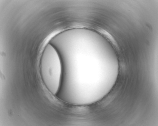 X0000091351427200708101029