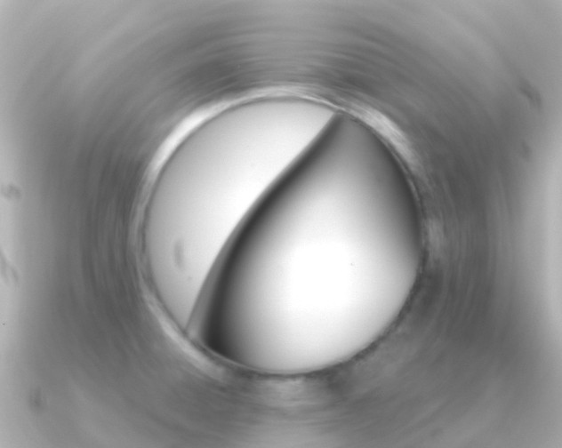 X0000091351428200708101029