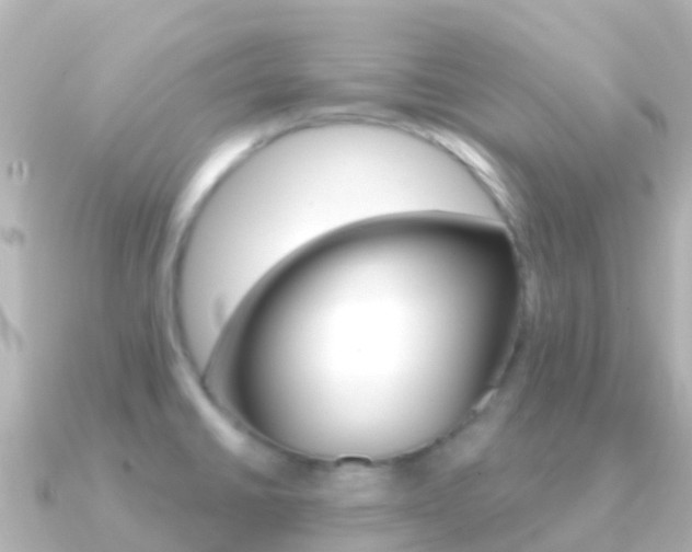 X0000091351430200708101029