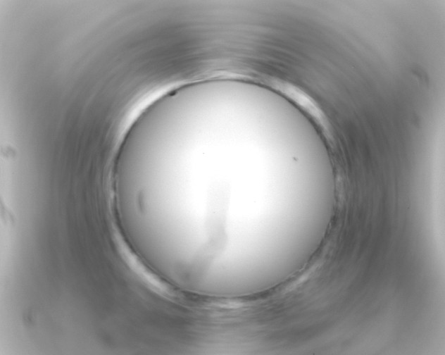 X0000091351431200708101029