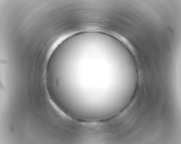 X0000091351432200708101029