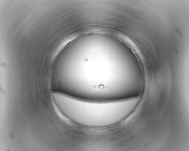 X0000091351433200708101029
