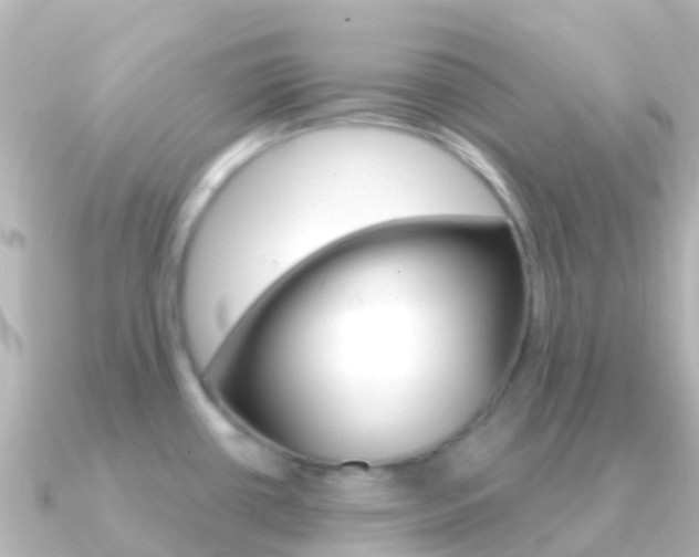 X0000091351434200708101029