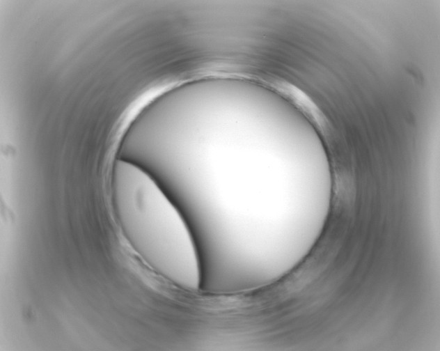 X0000091351435200708101029