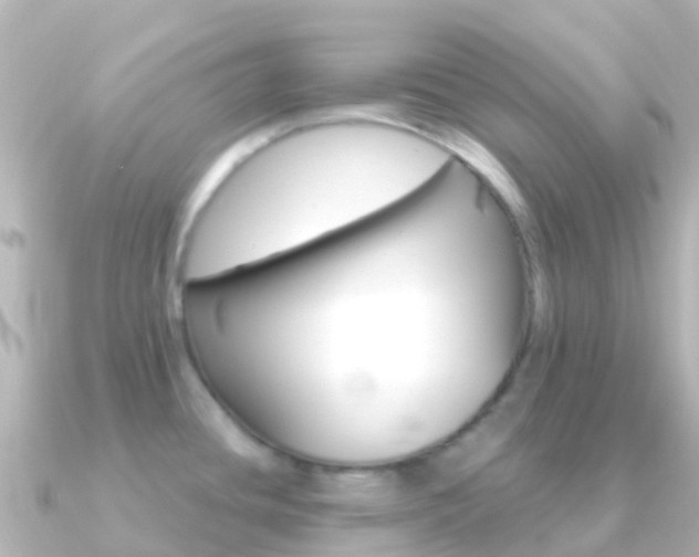 X0000091351436200708101029