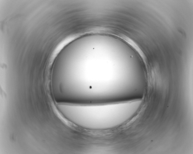 X0000091351437200708101029