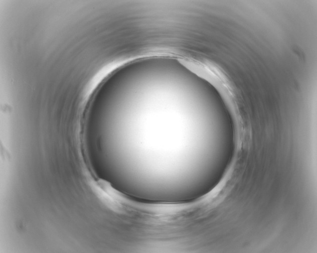 X0000091351438200708101029