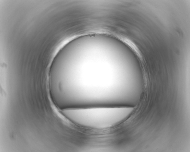 X0000091351439200708101029