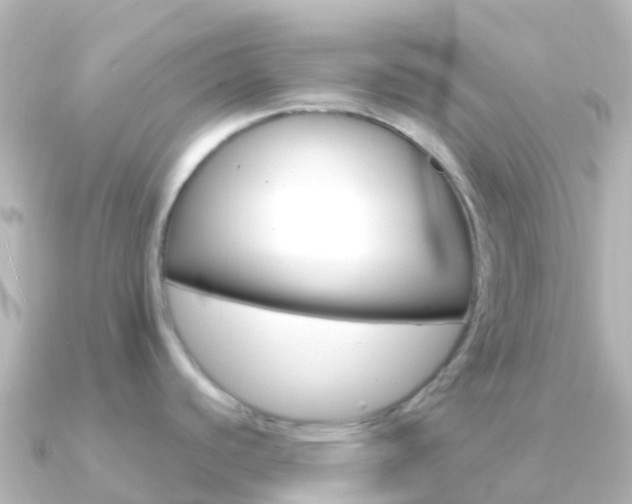 X0000091351440200708101029