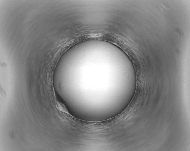 X0000091351441200708101029