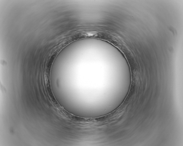 X0000091351442200708101029