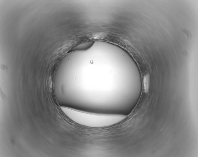 X0000091351443200708101028