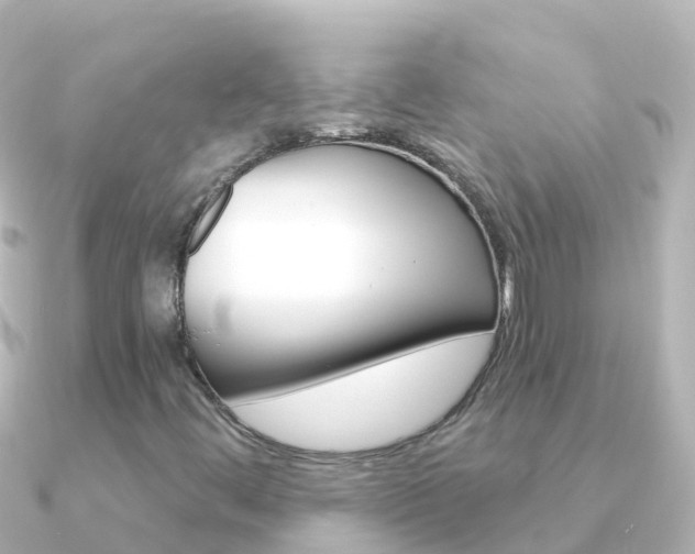 X0000091351444200708101028