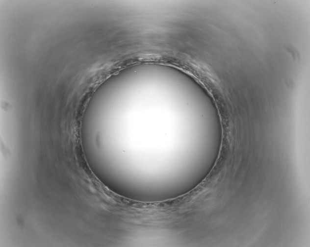 X0000091351445200708101028