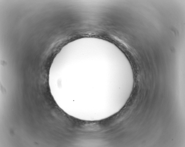 X0000091351447200708101028