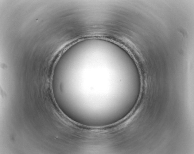 X0000091351449200708101028