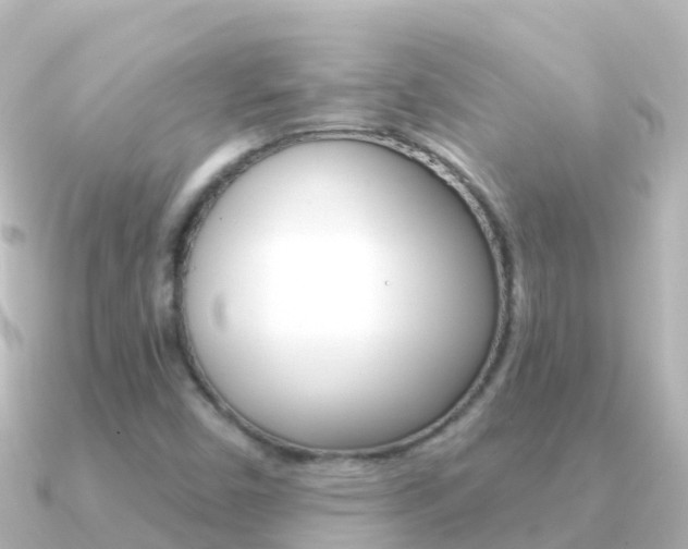 X0000091351450200708101028