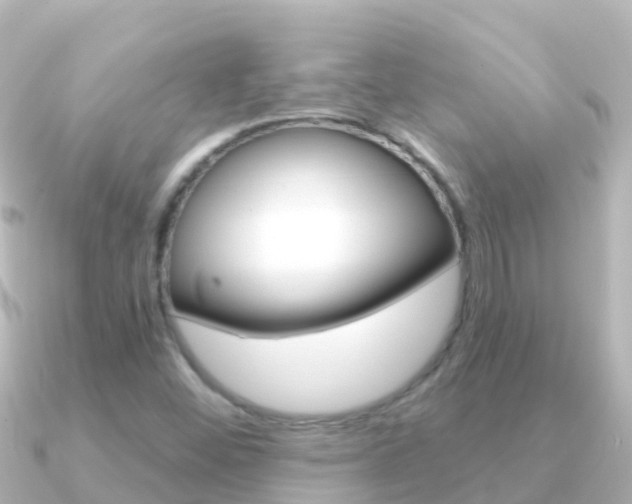 X0000091351452200708101028
