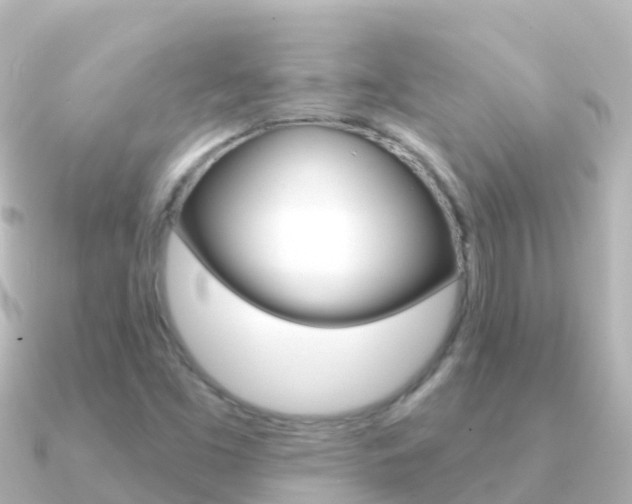 X0000091351453200708101028