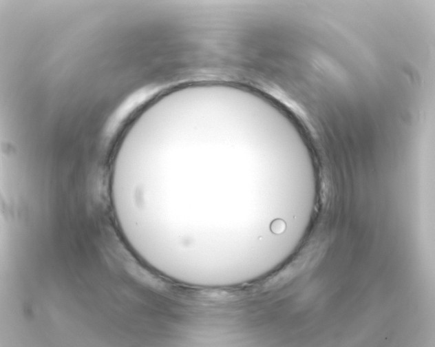 X0000091351454200708101028