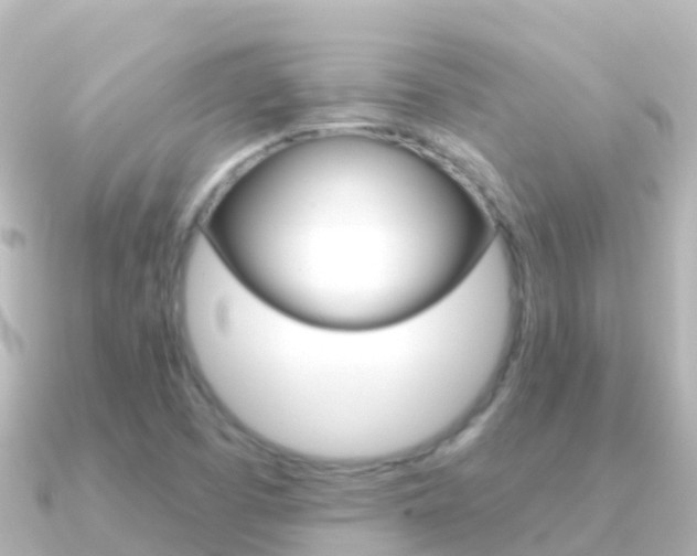 X0000091351457200708101028