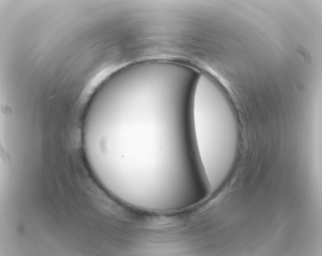 X0000091351459200708101028