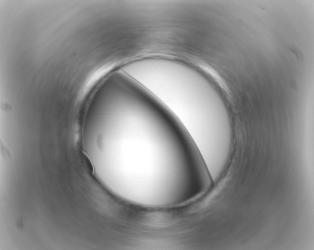 X0000091351461200708101028
