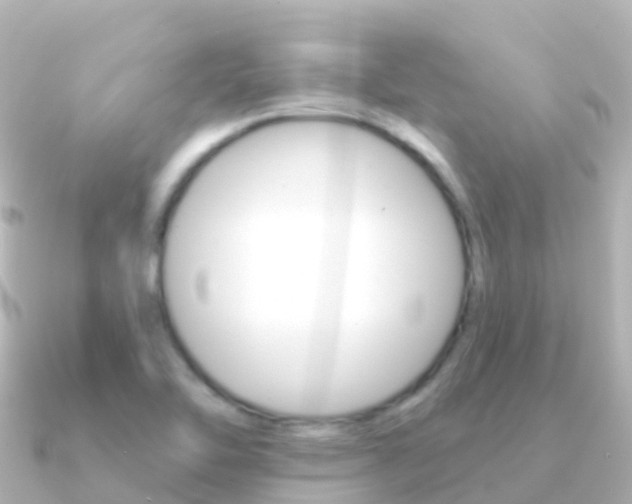X0000091351462200708101028
