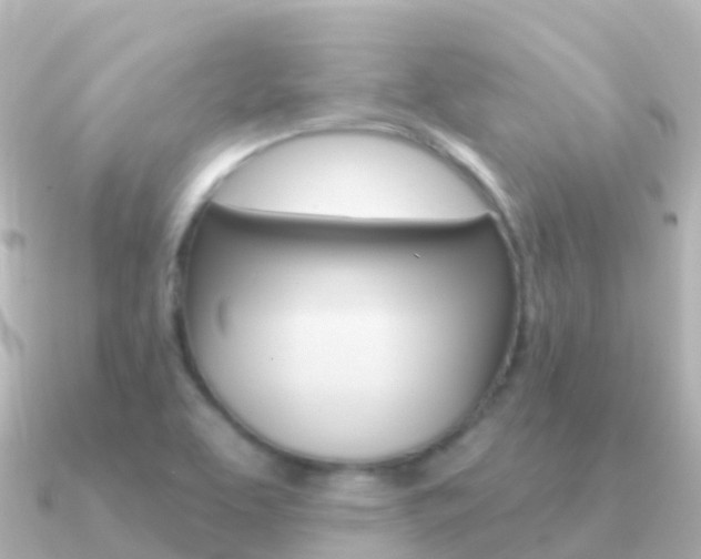 X0000091351463200708101028
