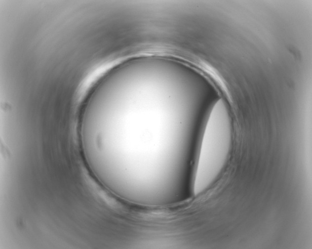 X0000091351464200708101028