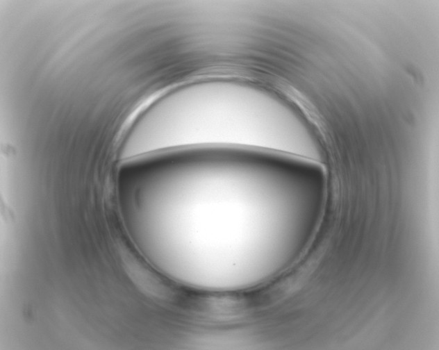 X0000091351465200708101028