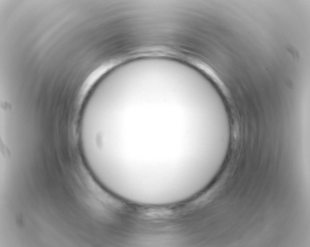 X0000091351466200708101028