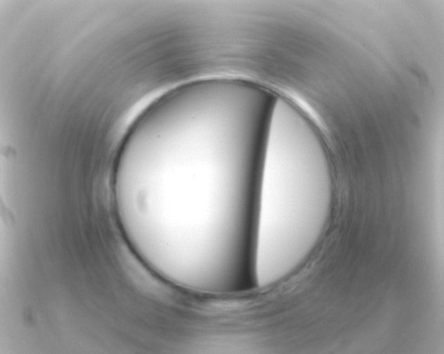 X0000091351468200708101028