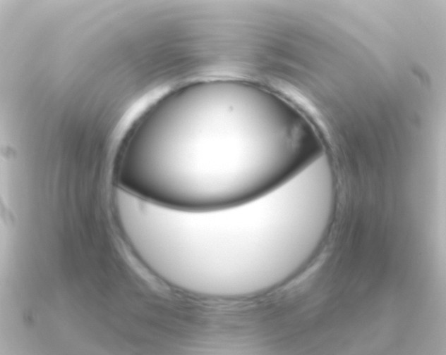 X0000091351469200708101028