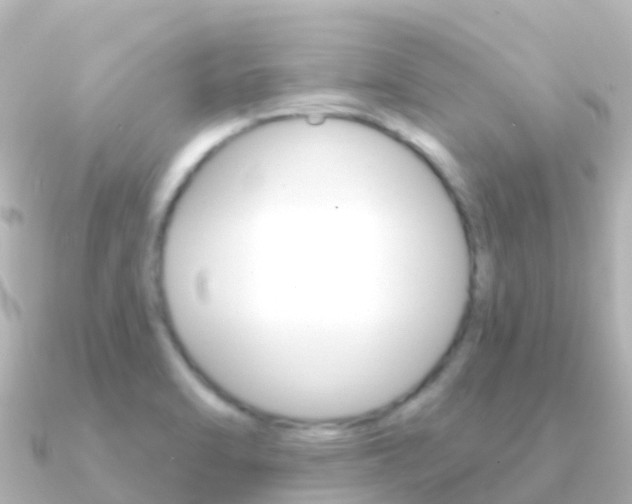 X0000091351470200708101028