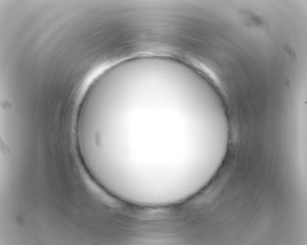 X0000091351471200708101028