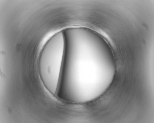 X0000091351472200708101028