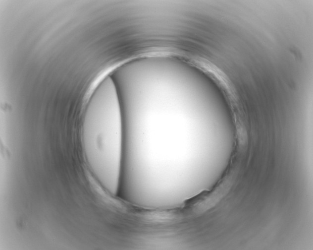 X0000091351473200708101028