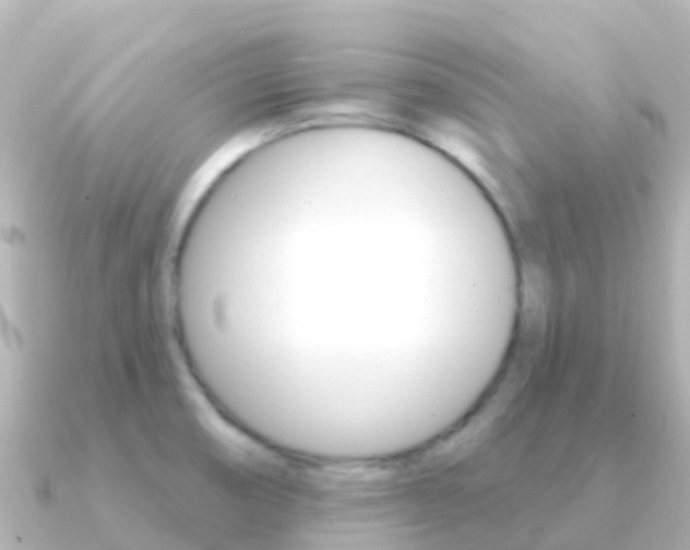 X0000091351474200708101028