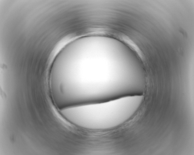 X0000091351475200708101028