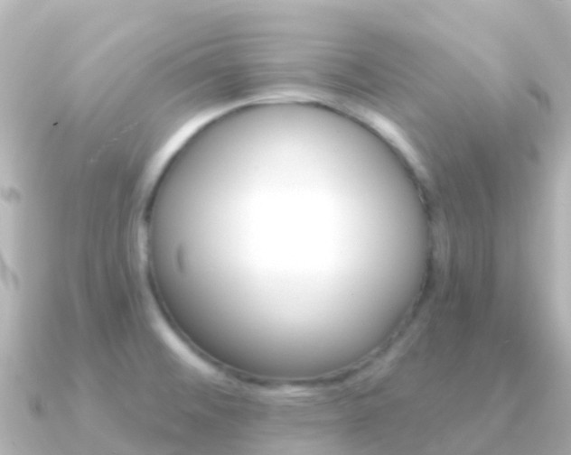 X0000091351476200708101028