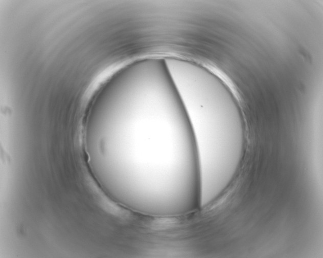 X0000091351477200708101028