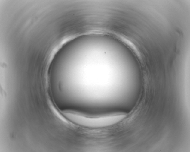 X0000091351479200708101028