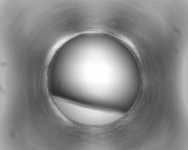 X0000091351480200708101028