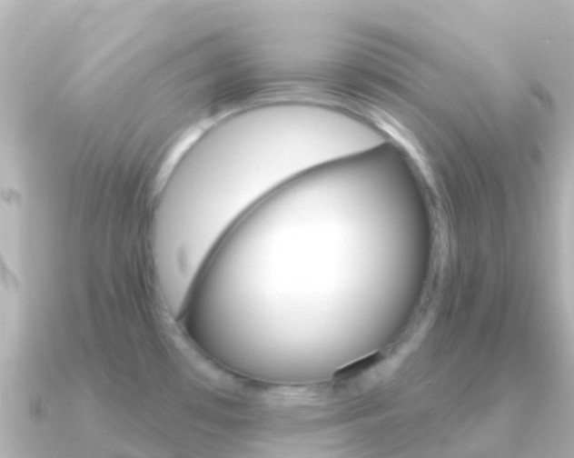 X0000091351481200708101028