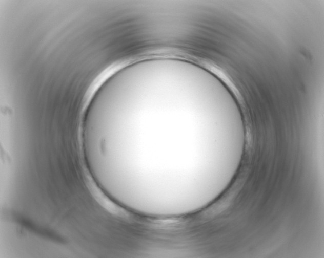 X0000091351482200708101028
