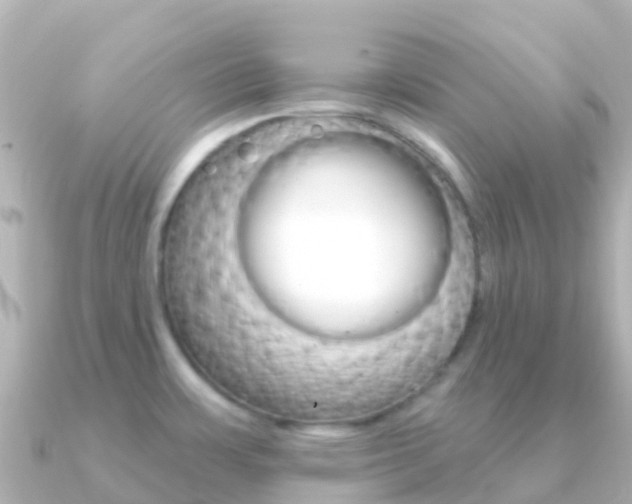X0000091351483200708101028