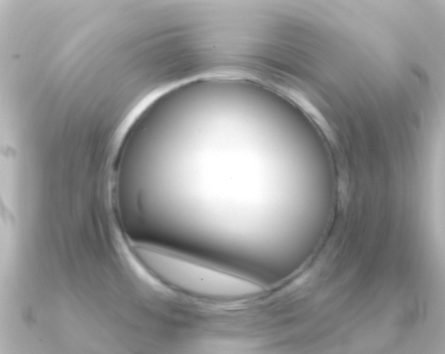 X0000091351484200708101028